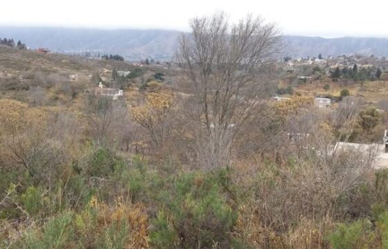 COD.108 – EN VENTA! HERMOSO TERRENO DE 1.500 M2. EN VILLA PARQUE SIQUIMAN – CORDOBA.