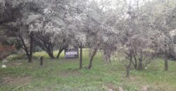 COD. 600 – HERMOSO TERRENO EN EL TALAR DE MENDIOLAZA, CORDOBA. COD. 600 – HERMOSO TERRENO EN EL TALAR DE MENDIOLAZA, CORDOBA.