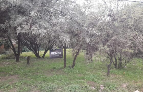 COD. 600 – HERMOSO TERRENO EN EL TALAR DE MENDIOLAZA, CORDOBA. COD. 600 – HERMOSO TERRENO EN EL TALAR DE MENDIOLAZA, CORDOBA.