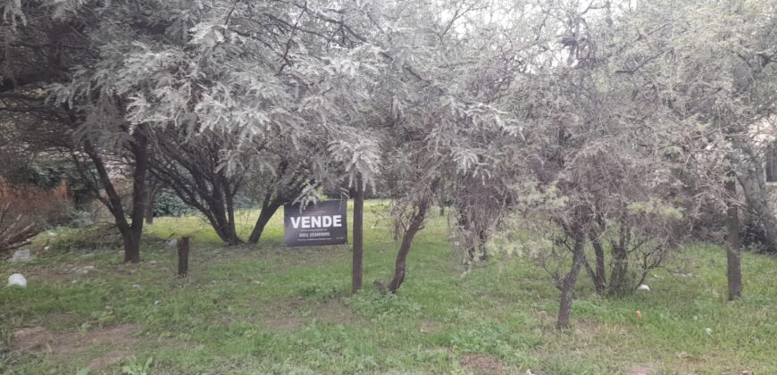 COD. 600 – HERMOSO TERRENO EN EL TALAR DE MENDIOLAZA, CORDOBA. COD. 600 – HERMOSO TERRENO EN EL TALAR DE MENDIOLAZA, CORDOBA.