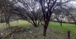 COD. 600 – HERMOSO TERRENO EN EL TALAR DE MENDIOLAZA, CORDOBA. COD. 600 – HERMOSO TERRENO EN EL TALAR DE MENDIOLAZA, CORDOBA.
