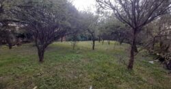 COD. 600 – HERMOSO TERRENO EN EL TALAR DE MENDIOLAZA, CORDOBA. COD. 600 – HERMOSO TERRENO EN EL TALAR DE MENDIOLAZA, CORDOBA.