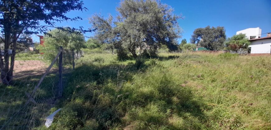 COD. 550 – EN VENTA! HERMOSO TERRENO SOBRE COLETORA DE RUTA NACIONAL 38, ZONA COMERCIAL, VILLA PARQUE SIQUIMAN, CORDOBA.