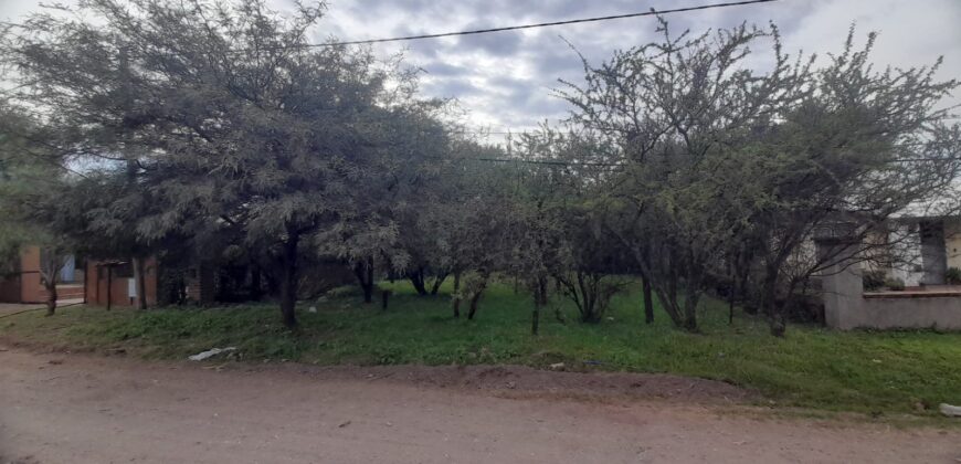 COD. 600 – HERMOSO TERRENO EN EL TALAR DE MENDIOLAZA, CORDOBA.