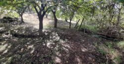 COD. 590 – EN VENTA! HERMOSO TERRENO CON MEJORA EN VILLA PARQUE SIQUIMAN – CBA. COD. 590 – EN VENTA! HERMOSO TERRENO CON MEJORA EN VILLA PARQUE SIQUIMAN – CBA.