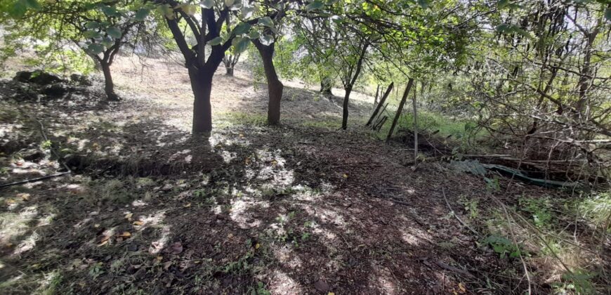 COD. 590 – EN VENTA! HERMOSO TERRENO CON MEJORA EN VILLA PARQUE SIQUIMAN – CBA.