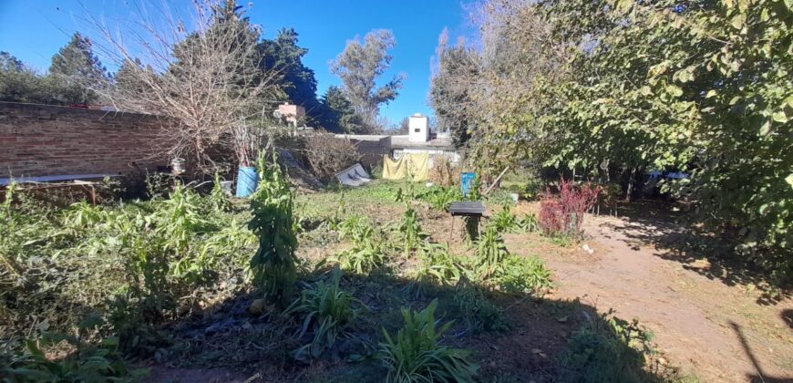 COD. 419  EN VENTA! TRES LOCALES COMERCIALES GRANDES SOBRE RUTA NACIONAL 38 EN VILLA PARQUE SIQUIMAN – CORDOBA.