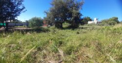 COD. 550 – EN VENTA! HERMOSO TERRENO SOBRE COLETORA DE RUTA NACIONAL 38, ZONA COMERCIAL, VILLA PARQUE SIQUIMAN, CORDOBA.