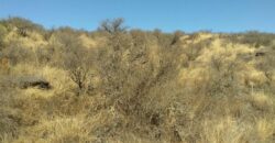 COD.113 – EN VENTA! HERMOSO TERRENO DE 2.972 M2. EN VILLA PARQUE SIQUIMAN – CORDOBA.