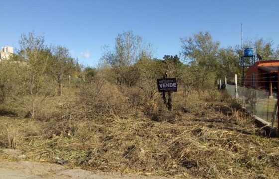 COD. 561. – EN VENTA! HERMOSO TERRENO DE 800 M2. A 50 METROS DE RUTA 38, EN VILLA PARQUE SIQUIMAN – CBA. COD. 561. – EN VENTA! HERMOSO TERRENO DE 800 M2. A 50 METROS DE RUTA 38, EN VILLA PARQUE SIQUIMAN – CBA.