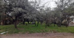 COD. 600 – HERMOSO TERRENO EN EL TALAR DE MENDIOLAZA, CORDOBA. COD. 600 – HERMOSO TERRENO EN EL TALAR DE MENDIOLAZA, CORDOBA.