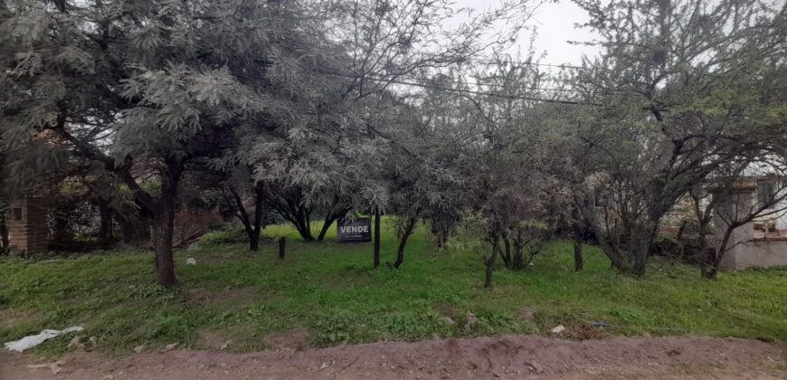 COD. 600 – HERMOSO TERRENO EN EL TALAR DE MENDIOLAZA, CORDOBA.