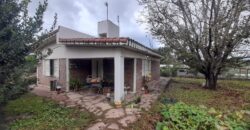 COD. 530 – EN VENTA! DOS CASAS EN UN TERRENO DE 789 M2. EN VILLA PARQUE SIQUIMAN – CORDOBA. COD. 530 – EN VENTA! DOS CASAS EN UN TERRENO DE 789 M2. EN VILLA PARQUE SIQUIMAN – CORDOBA.
