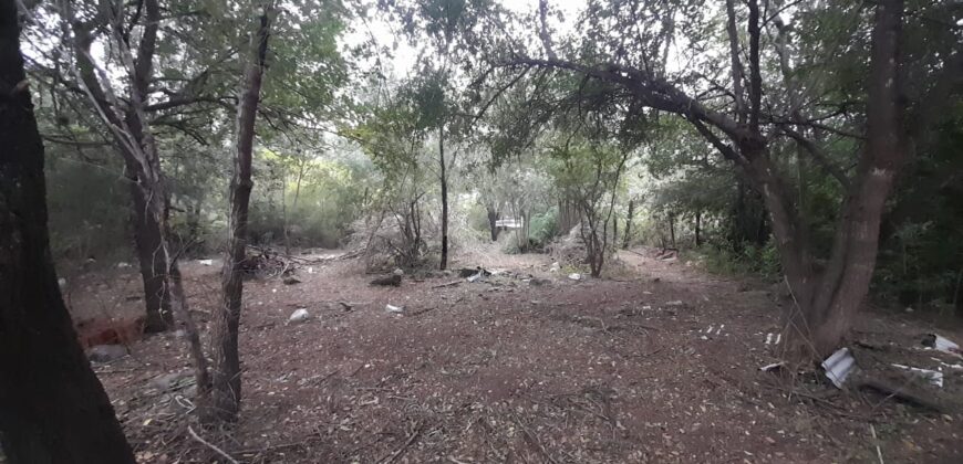 COD. 409 EXCELENTE TERRENO EN VILLA PARQUE SIQUIMAN – CORDOBA.
