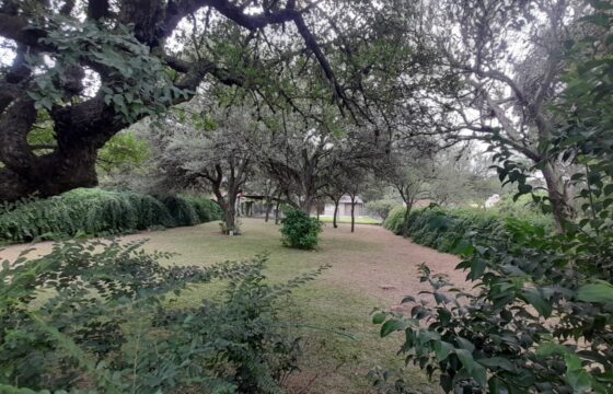COD. 401 – HERMOSO TERRENO EN VILLA PARQUE SIQUIMAN, CORDOBA