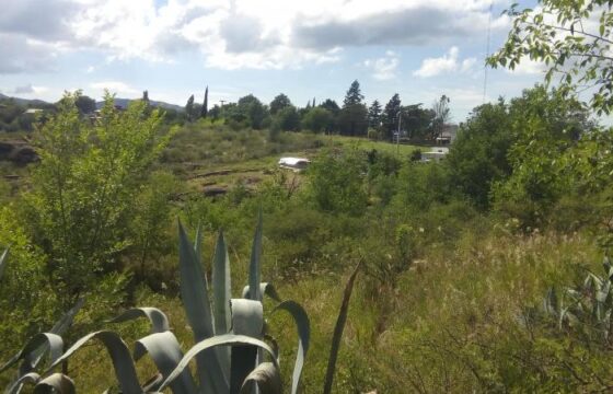 COD.38 – EN VENTA! HERMOSO TERRENO DE 3.795 M2. EN VILLA PARQUE SIQUIMAN – CORDOBA.