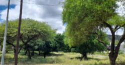 COD. 460 – EN VENTA! HERMOSO TERRENO DE 260 M2, CENTRO DE LA CALERA, CBA