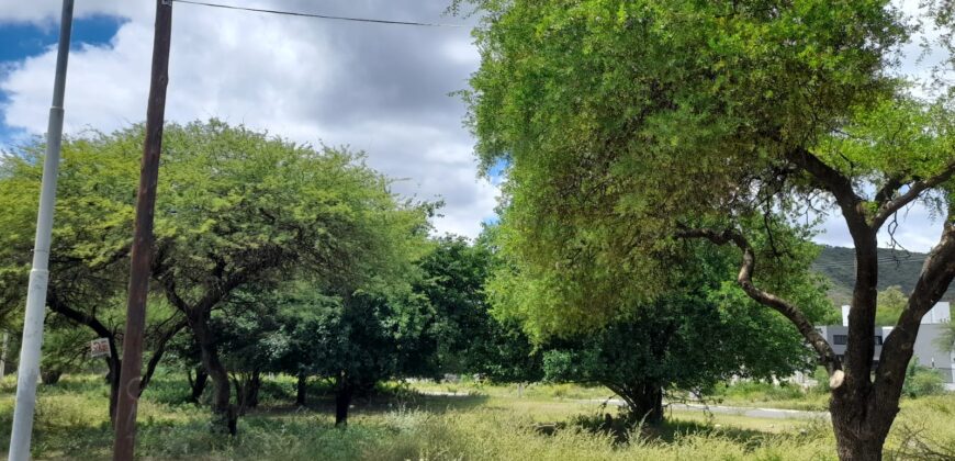 COD. 460 – EN VENTA! HERMOSO TERRENO DE 260 M2, CENTRO DE LA CALERA, CBA