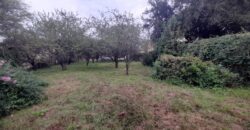 COD. 600 – HERMOSO TERRENO EN EL TALAR DE MENDIOLAZA, CORDOBA. COD. 600 – HERMOSO TERRENO EN EL TALAR DE MENDIOLAZA, CORDOBA.
