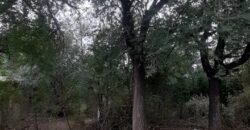 COD. 409 EXCELENTE TERRENO EN VILLA PARQUE SIQUIMAN – CORDOBA.