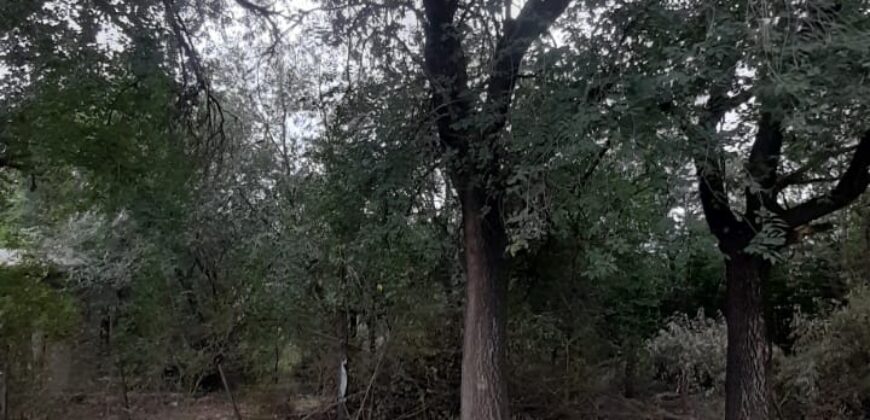 COD. 409 EXCELENTE TERRENO EN VILLA PARQUE SIQUIMAN – CORDOBA.