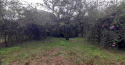 COD. 600 – HERMOSO TERRENO EN EL TALAR DE MENDIOLAZA, CORDOBA. COD. 600 – HERMOSO TERRENO EN EL TALAR DE MENDIOLAZA, CORDOBA.