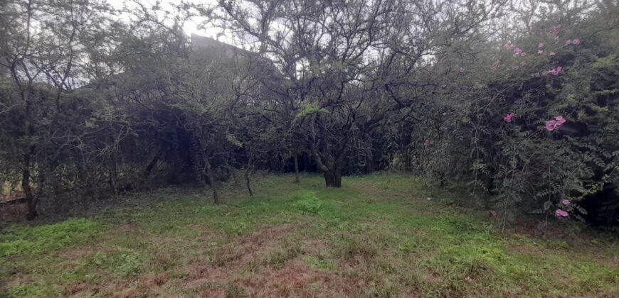 COD. 600 – HERMOSO TERRENO EN EL TALAR DE MENDIOLAZA, CORDOBA.