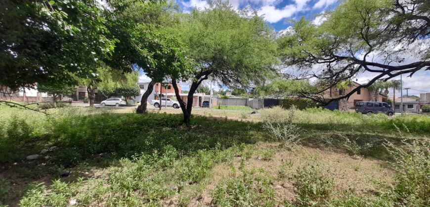COD. 460 – EN VENTA! HERMOSO TERRENO DE 260 M2, CENTRO DE LA CALERA, CBA