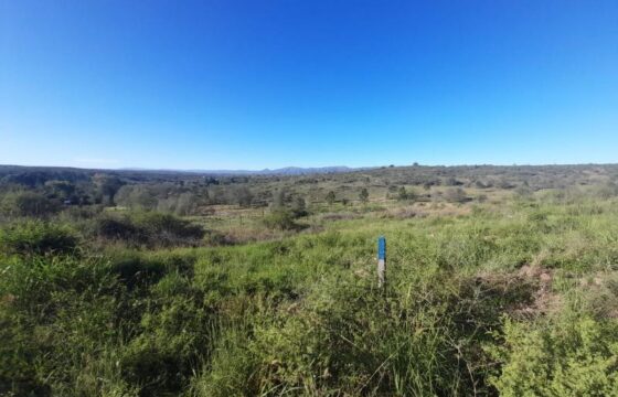 COD.369 – EN VENTA! HERMOSO TERRENO DE 1.500 M2 EN VILLA PARQUE SIQUIMAN – CORDOBA.
