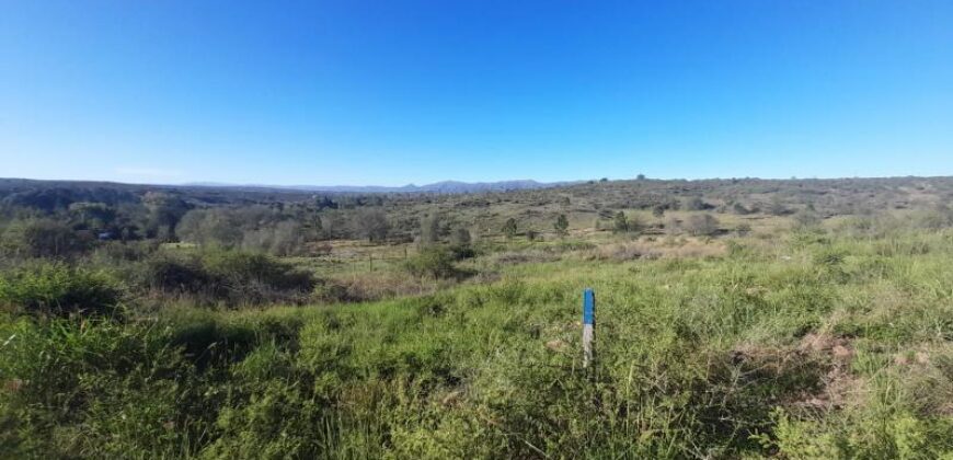 COD.369 – EN VENTA! HERMOSO TERRENO DE 1.500 M2 EN VILLA PARQUE SIQUIMAN – CORDOBA.