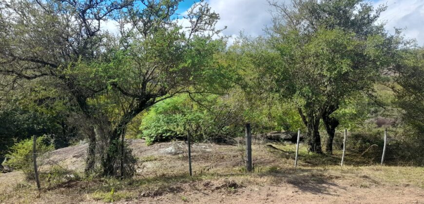 COD. 590 – EN VENTA! HERMOSO TERRENO CON MEJORA EN VILLA PARQUE SIQUIMAN – CBA.