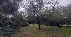 COD. 600 – HERMOSO TERRENO EN EL TALAR DE MENDIOLAZA, CORDOBA. COD. 600 – HERMOSO TERRENO EN EL TALAR DE MENDIOLAZA, CORDOBA.