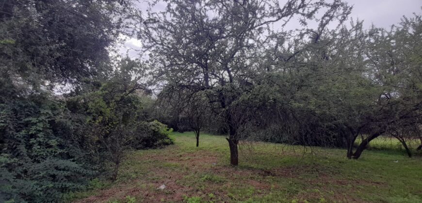 COD. 600 – HERMOSO TERRENO EN EL TALAR DE MENDIOLAZA, CORDOBA.