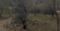 COD. 420 – HERMOSA CASA A ESTRENAR EN VILLA PARQUE SIQUIMAN – CORDOBA.