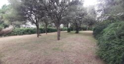 COD. 401 – HERMOSO TERRENO EN VILLA PARQUE SIQUIMAN, CORDOBA