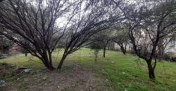 COD. 600 – HERMOSO TERRENO EN EL TALAR DE MENDIOLAZA, CORDOBA. COD. 600 – HERMOSO TERRENO EN EL TALAR DE MENDIOLAZA, CORDOBA.