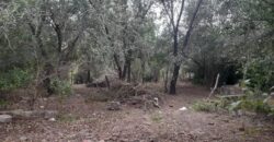 COD. 409 EXCELENTE TERRENO EN VILLA PARQUE SIQUIMAN – CORDOBA.
