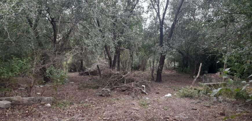 COD. 409 EXCELENTE TERRENO EN VILLA PARQUE SIQUIMAN – CORDOBA.