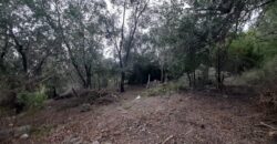 COD. 409 EXCELENTE TERRENO EN VILLA PARQUE SIQUIMAN – CORDOBA.
