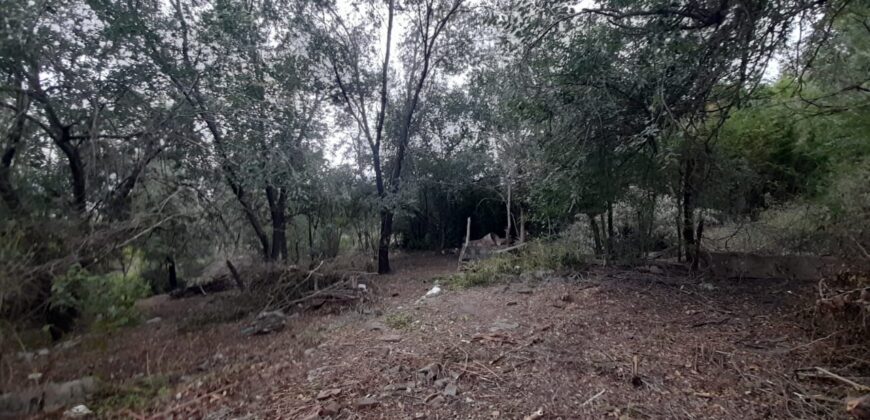 COD. 409 EXCELENTE TERRENO EN VILLA PARQUE SIQUIMAN – CORDOBA.