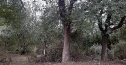 COD. 409 EXCELENTE TERRENO EN VILLA PARQUE SIQUIMAN – CORDOBA.