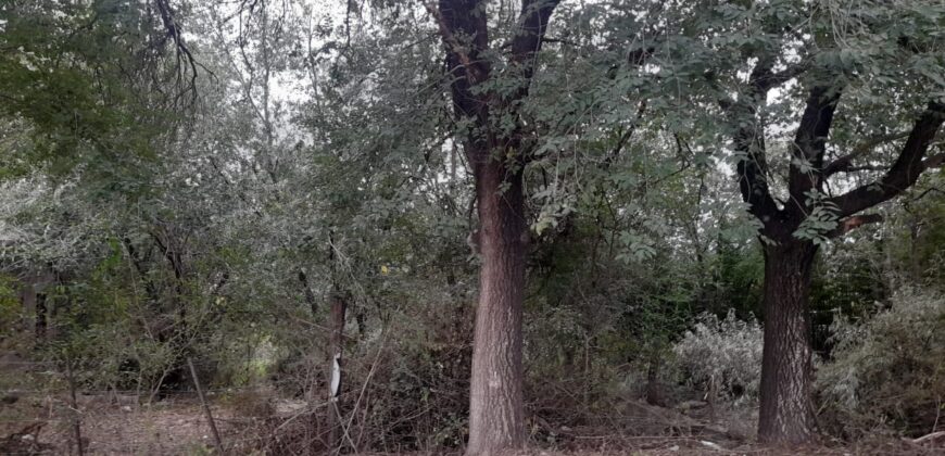 COD. 409 EXCELENTE TERRENO EN VILLA PARQUE SIQUIMAN – CORDOBA.